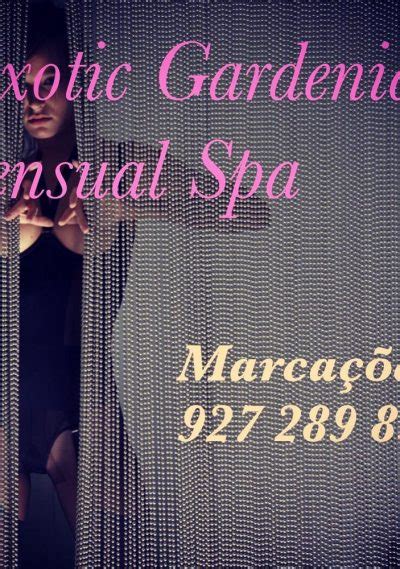 Sexual massage Porto Calvo